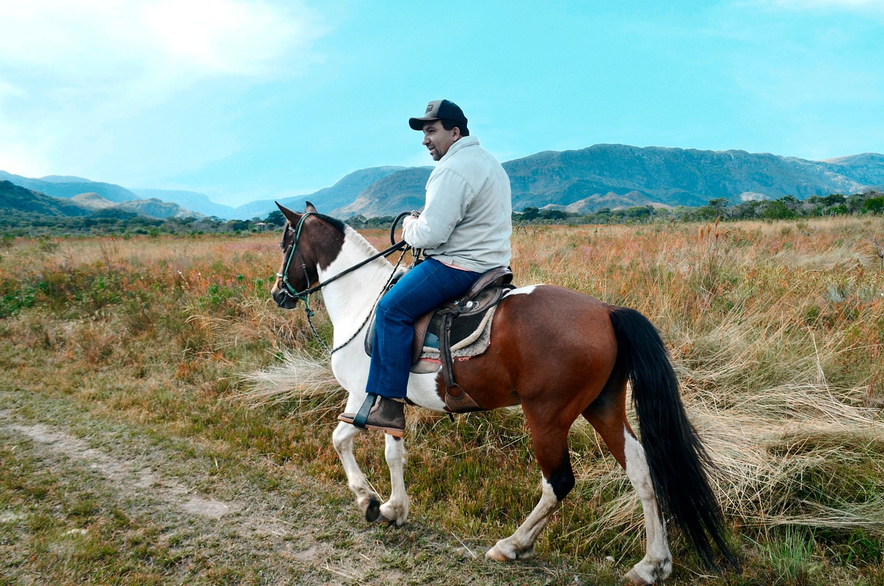 The Ultimate Guide to Horseback Riding in the Rockies